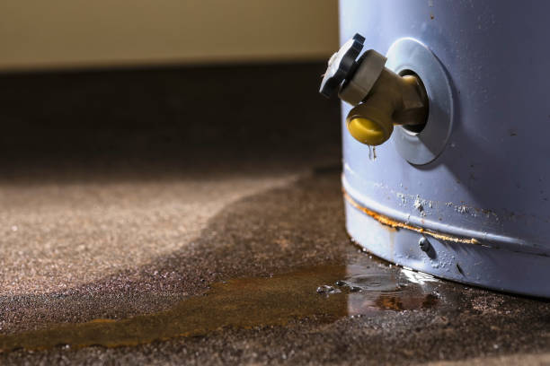Best Local water damage restoration  in Privateer, SC