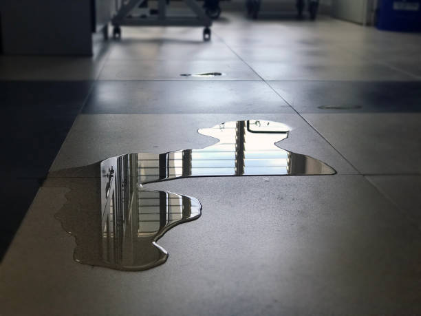Best Professional water damage repair  in Privateer, SC